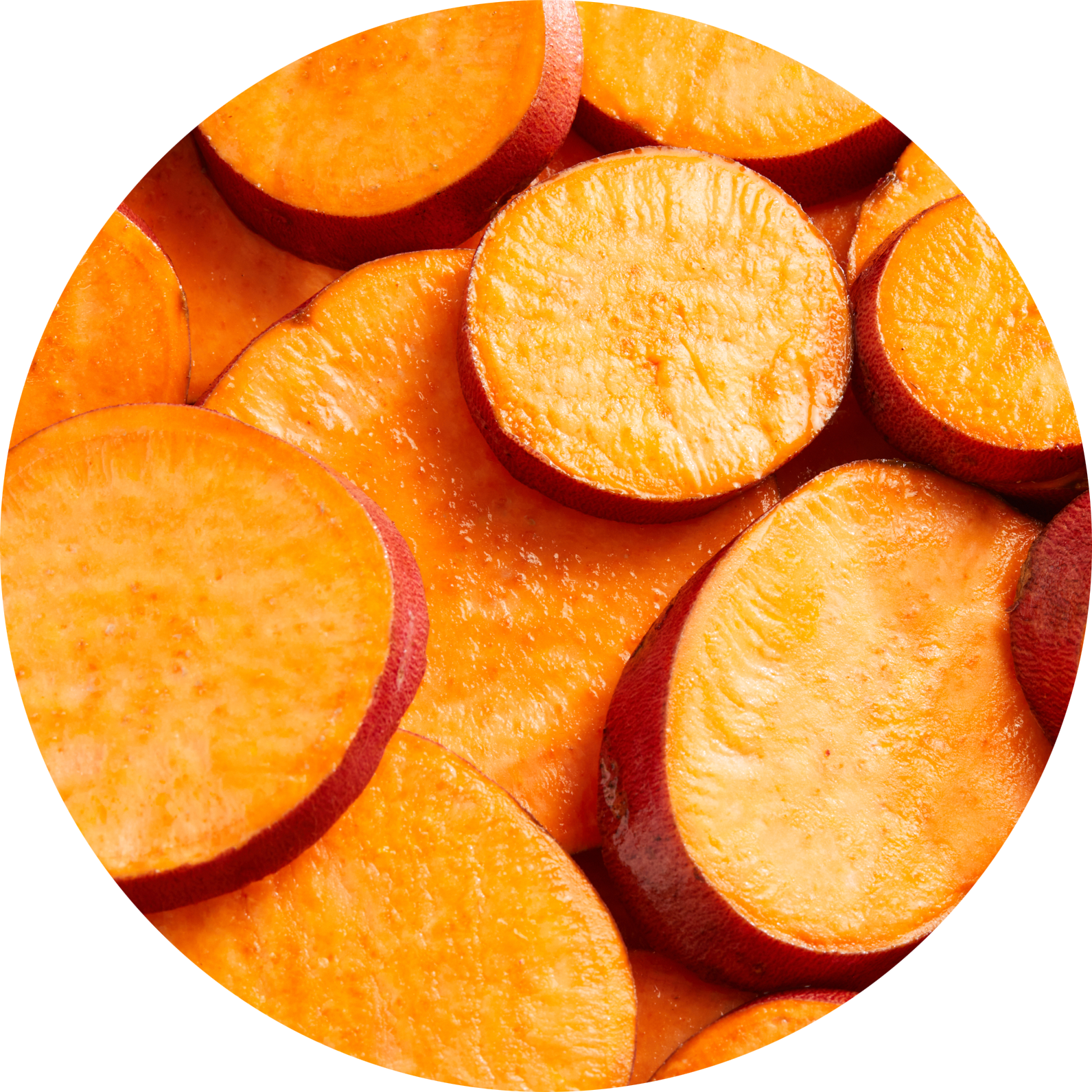 Organic Sweet Potatoes-ingredient