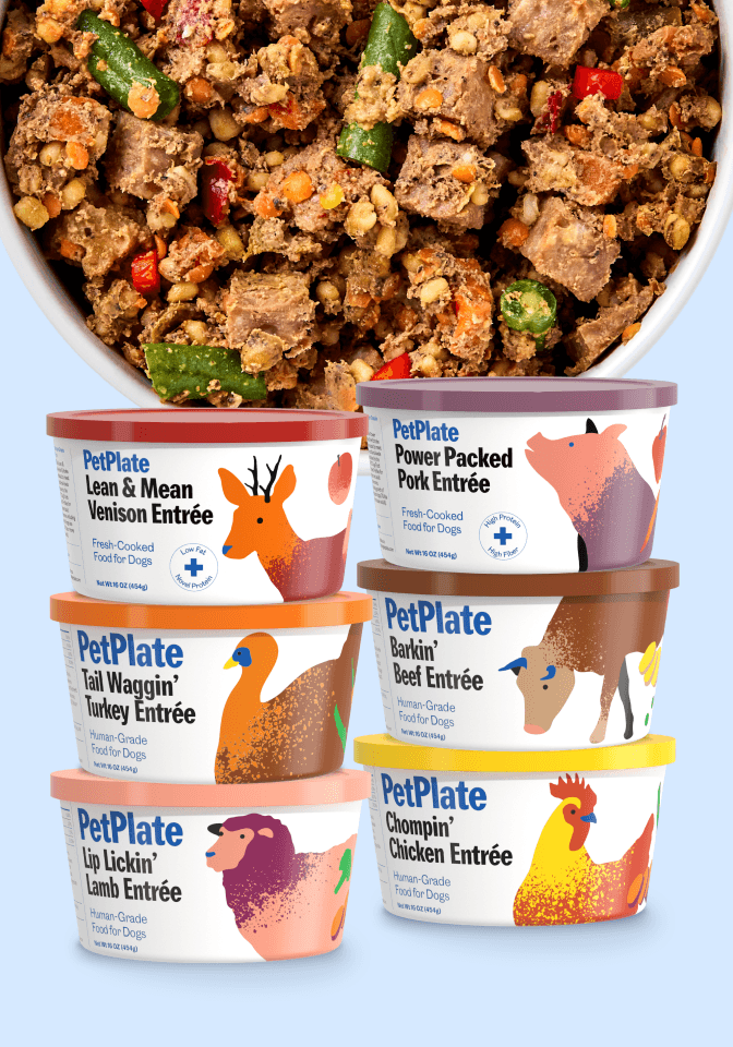 FreshCooked product containers thumbnail