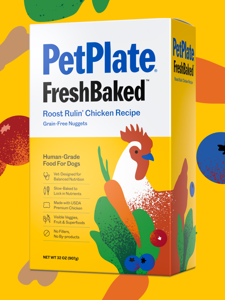 PetPlate: Fresh Dog Food Delivery