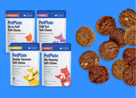 PetPlate: Fresh Dog Food Delivery