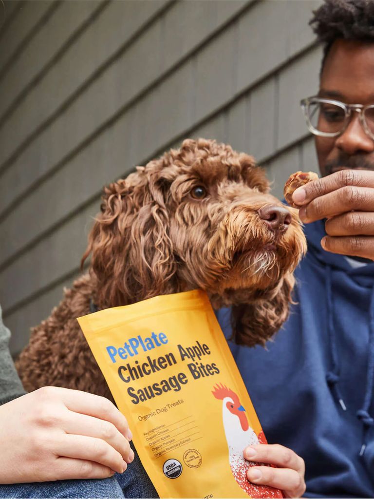 Chicken apple sausage outlet dog treats