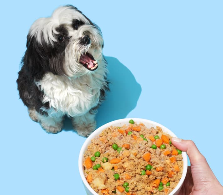 pet plate dog food