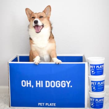 Reviews of Dog Food | Pet Plate