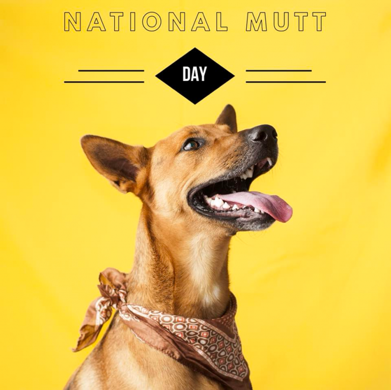 What Is National Mutt Day 2024 Calendar - Liza Maurise