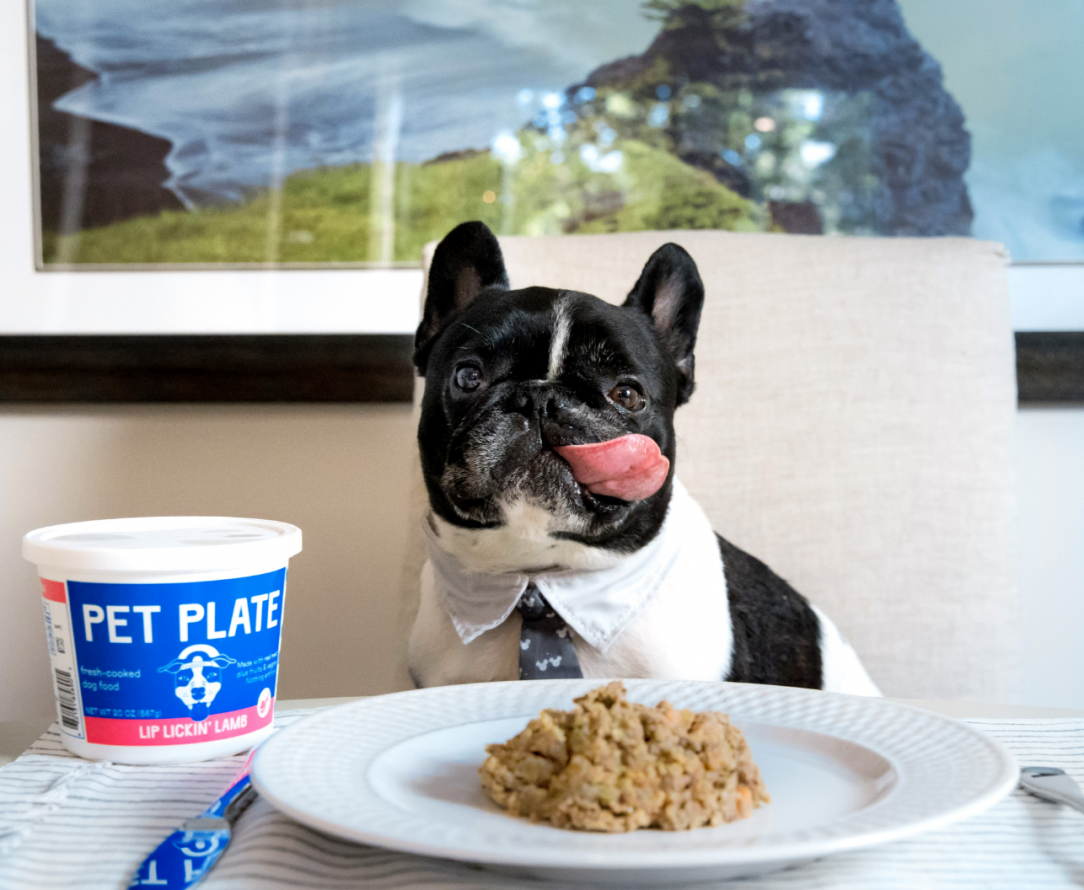 best-diet-for-french-bulldogs-why-choose-pet-plate-petplate