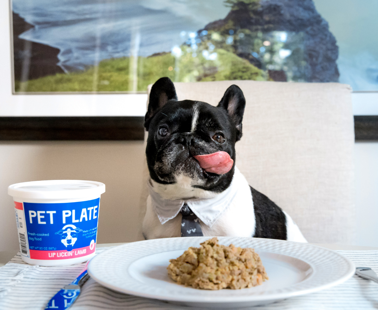 are french bulldogs picky eaters