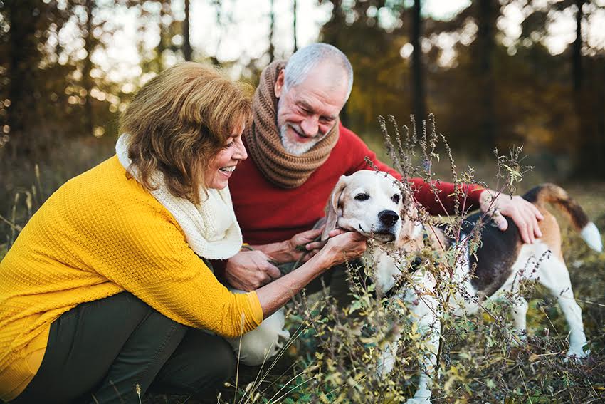 Caring for Senior Dogs: Tips for Aging Gracefully - Managing weight and providing proper nutrients