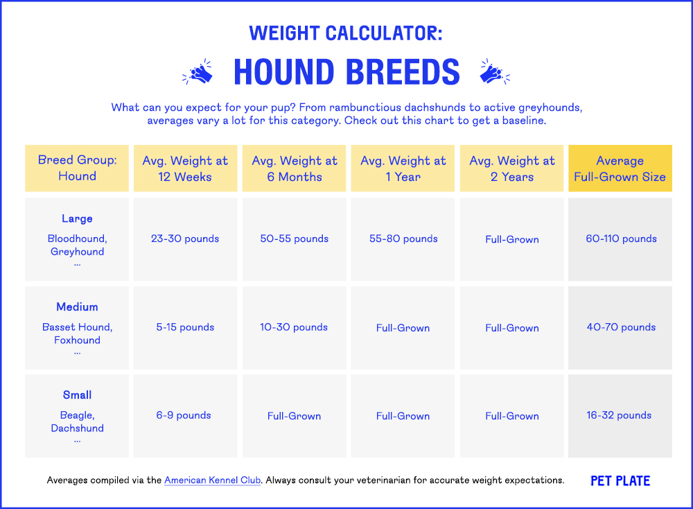 weight-management-for-dogs-what-to-know-about-your-food-choices-portions-more-petplate