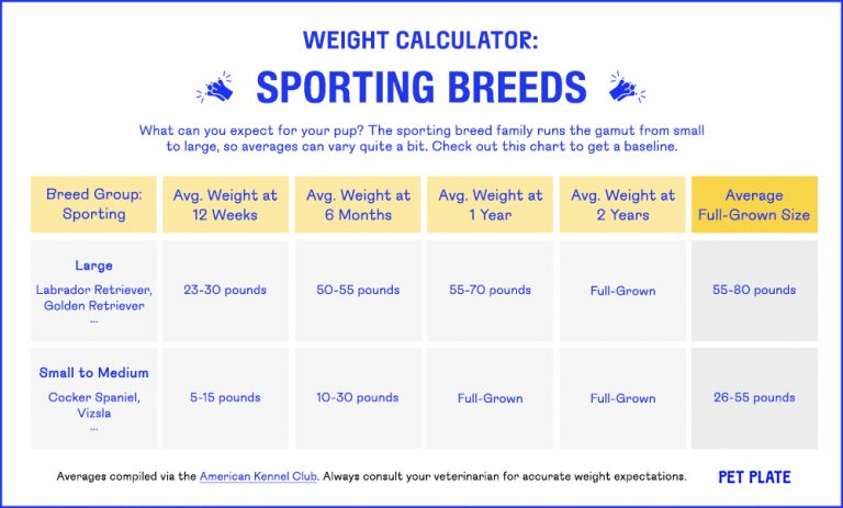 Dog Feeding Charts for Weight Management | PetPlate