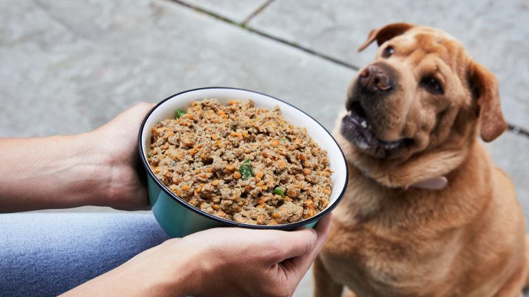 Easy Dog Food Recipe with Chicken | PetPlate