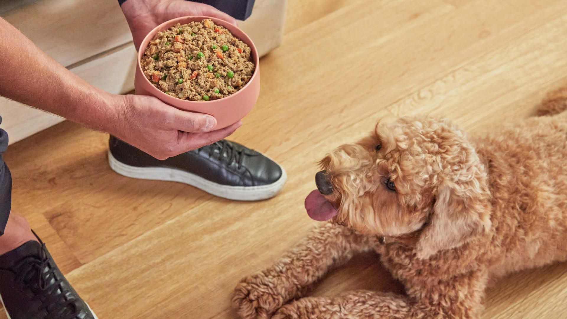 how to make healthy homemade dry dog food
