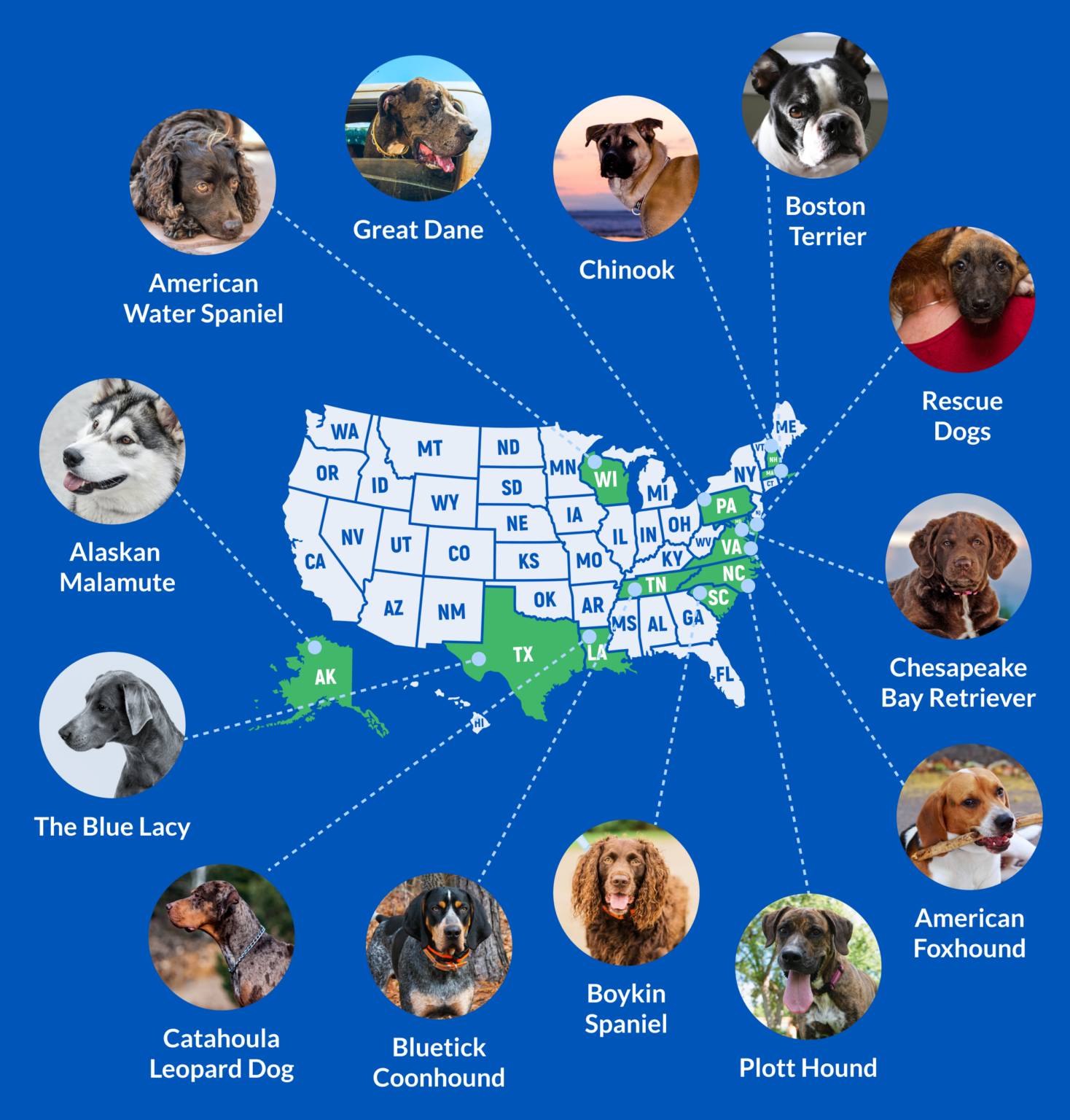 Official Guide to State Dogs—Does Your State Have One? PetPlate