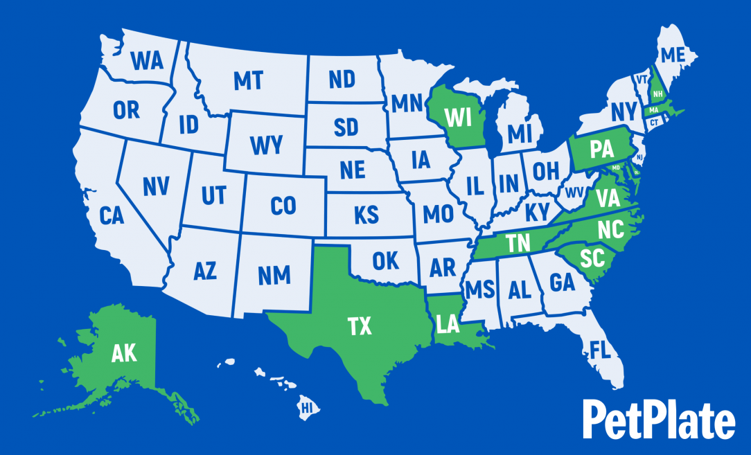 nj-official-state-dog-which-breed-would-you-choose