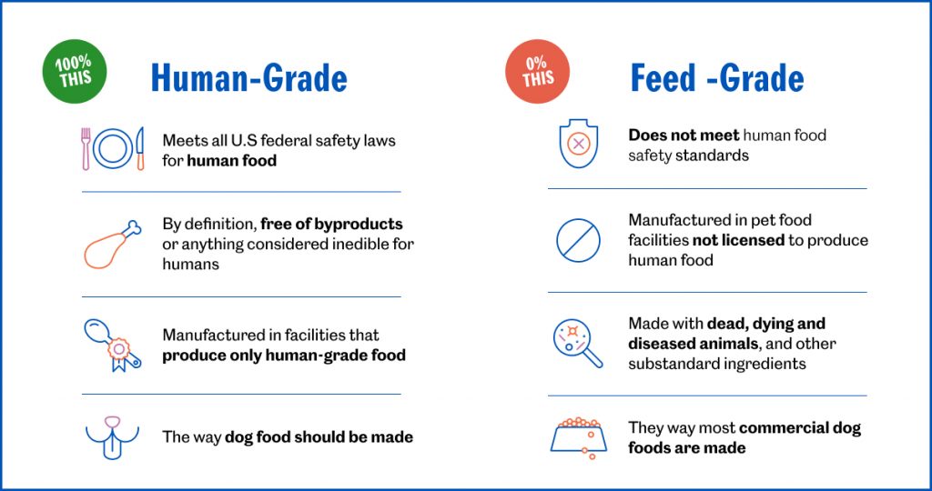 human-grade-dog-food-how-to-feed-your-dog-the-best-petplate