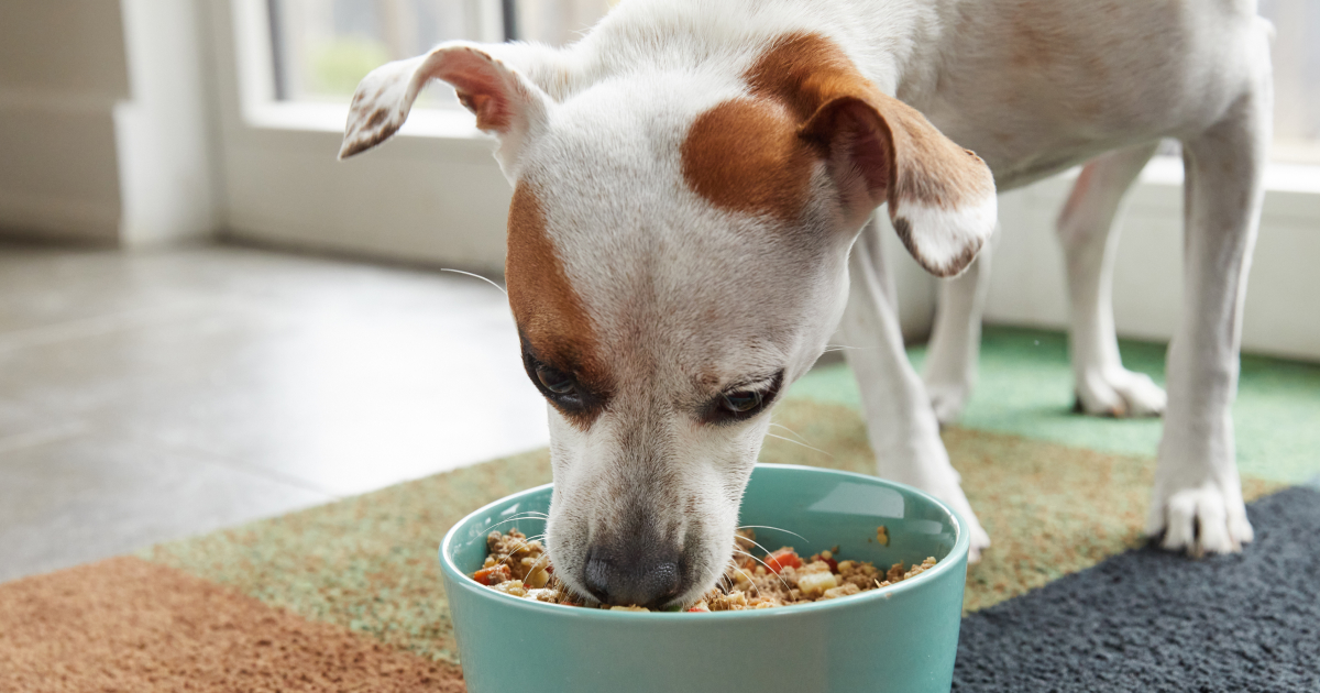 Slow Feeder Insert Dog Puzzle Bowl Food-grade Silicone Slow Feeder