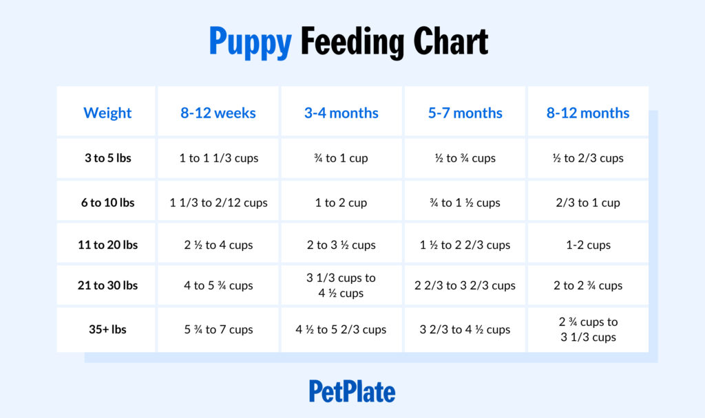 How Much to Feed a Puppy - Puppy Feeding Chart & Schedule | PetPlate